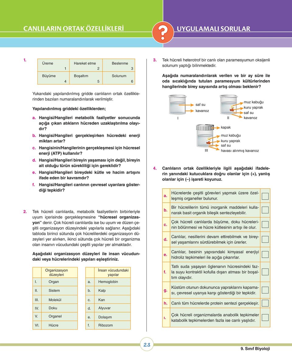 Yapılandırılmış griddeki özelliklerden; a. Hangisi/Hangileri metabolik faaliyetler sonucunda açığa çıkan atıkların hücreden uzaklaştırılma olayıdır? b.