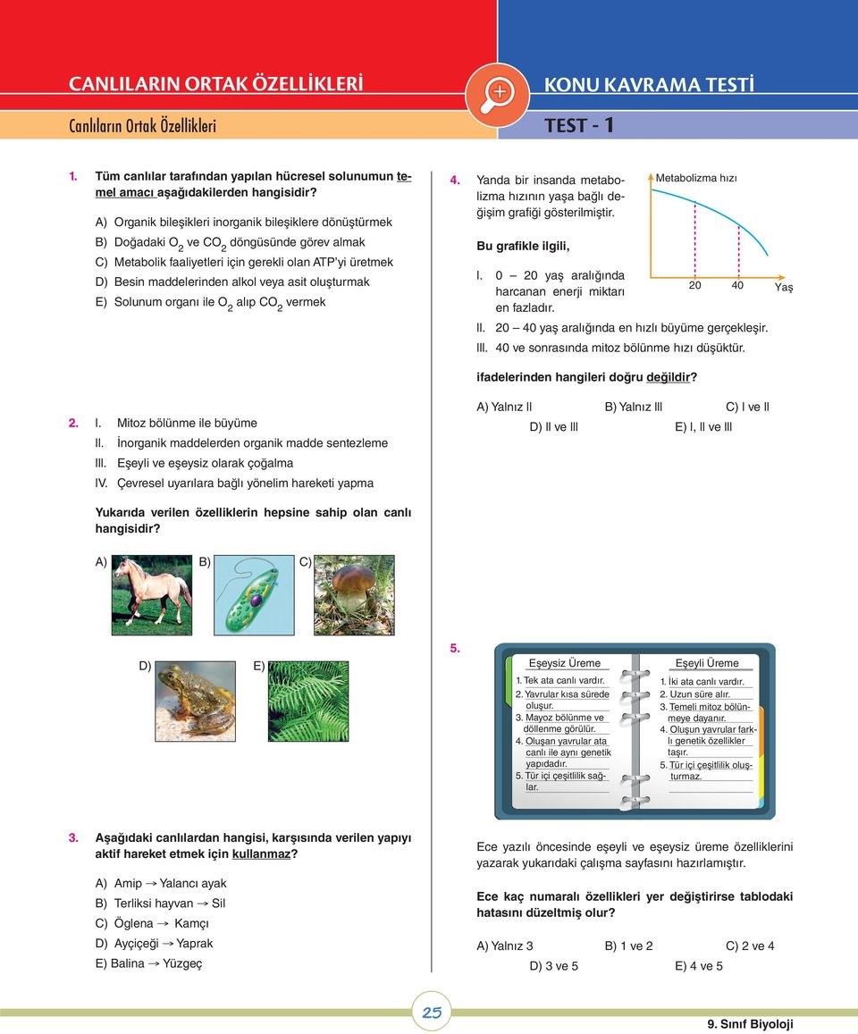 asit oluşturmak E) Solunum organı ile O 2 alıp CO 2 vermek 2. l. Mitoz bölünme ile büyüme ll. İnorganik maddelerden organik madde sentezleme lll. Eşeyli ve eşeysiz olarak çoğalma lv.