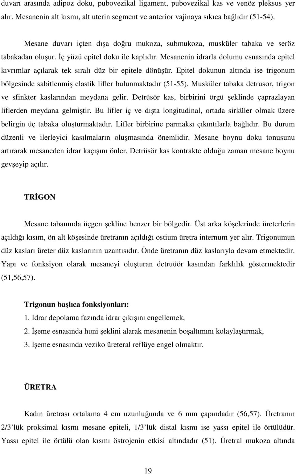 Mesanenin idrarla dolumu esnasında epitel kıvrımlar açılarak tek sıralı düz bir epitele dönüşür. Epitel dokunun altında ise trigonum bölgesinde sabitlenmiş elastik lifler bulunmaktadır (51-55).