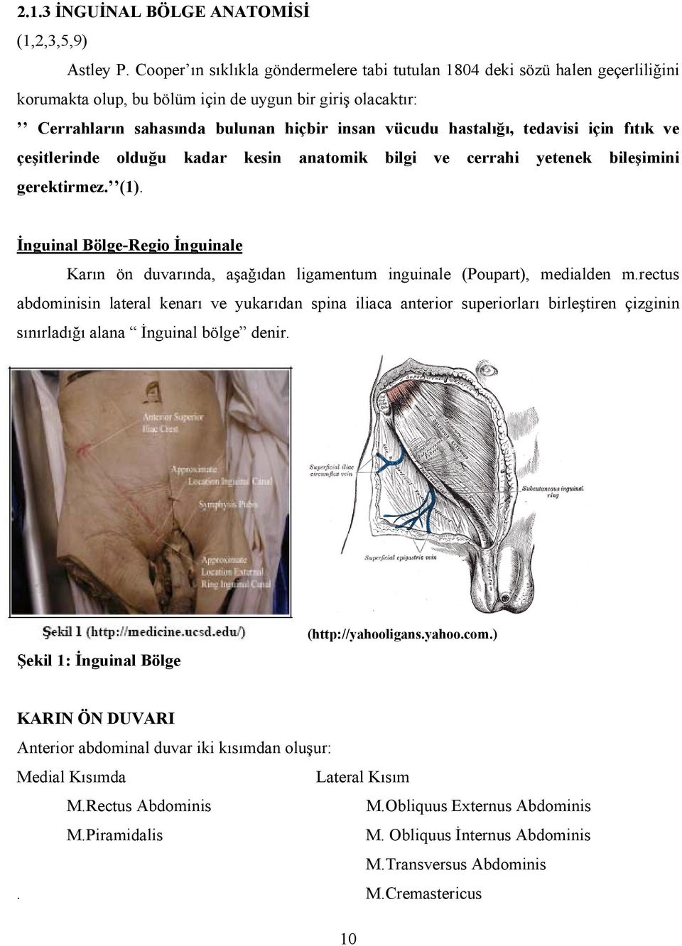 hastalığı, tedavisi için fıtık ve çeşitlerinde olduğu kadar kesin anatomik bilgi ve cerrahi yetenek bileşimini gerektirmez. (1).