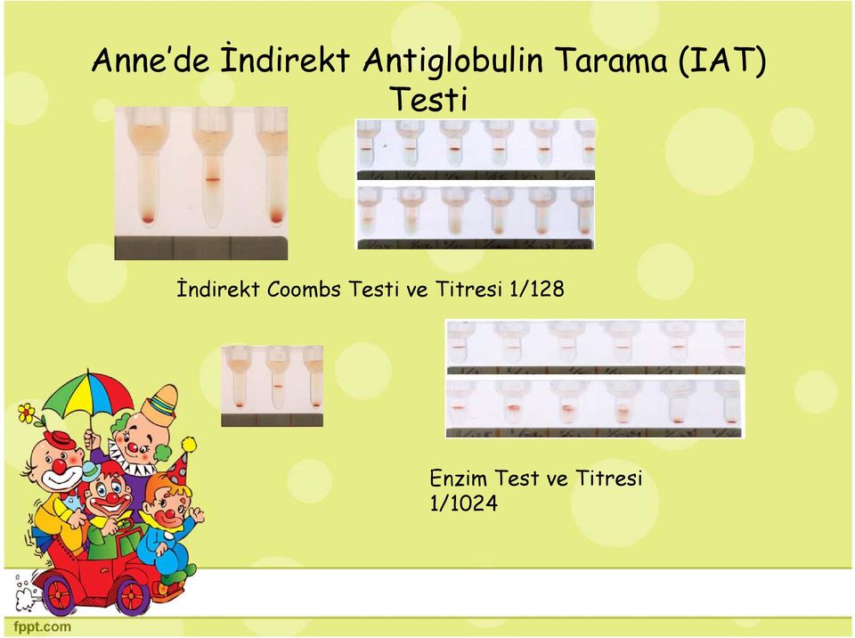 Testi İndirekt Coombs Testi