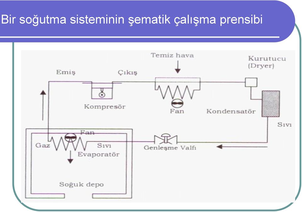 şematik