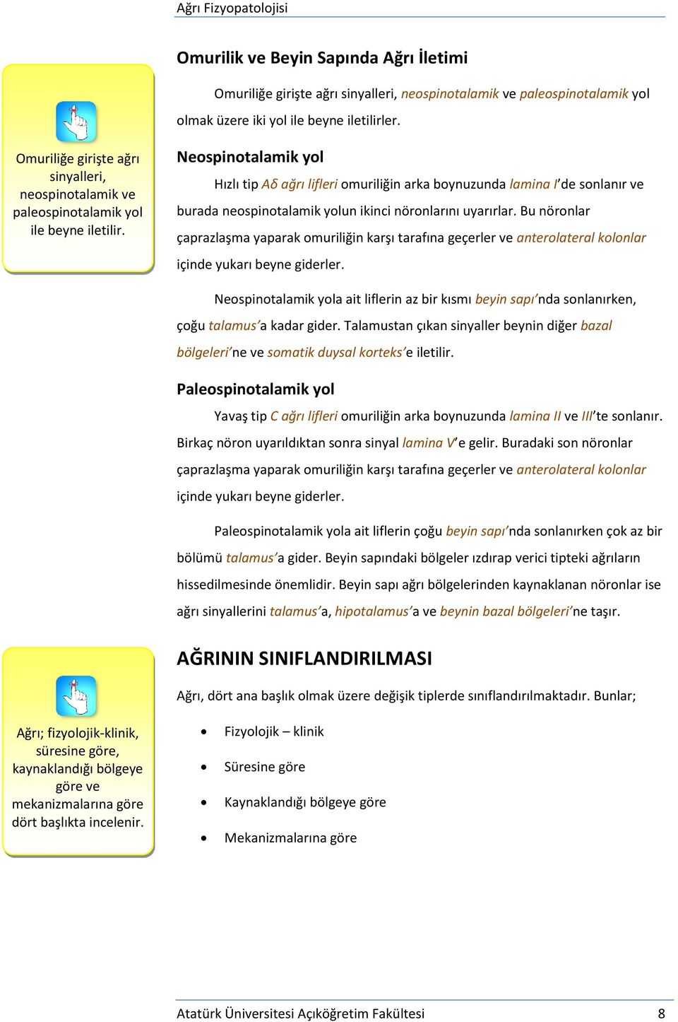 Neospinotalamik yol Hızlı tip Aδ ağrı lifleri omuriliğin arka boynuzunda lamina I de sonlanır ve burada neospinotalamik yolun ikinci nöronlarını uyarırlar.