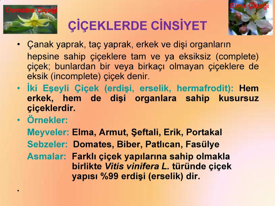 İki Eşeyli Çiçek (erdişi, erselik, hermafrodit): Hem erkek, hem de dişi organlara sahip kusursuz çiçeklerdir.