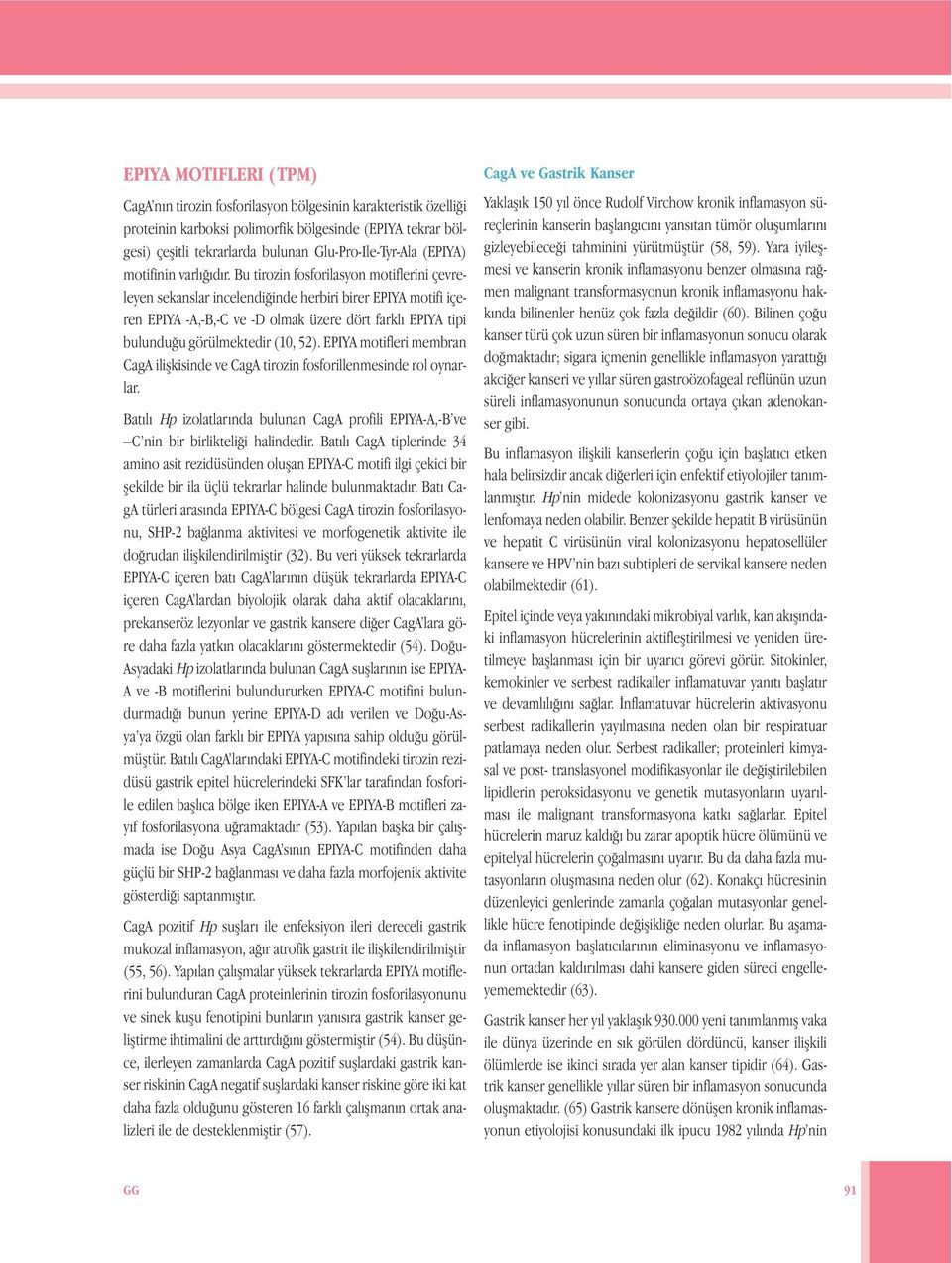 Bu tirozin fosforilasyon motiflerini çevreleyen sekanslar incelendiğinde herbiri birer EPIYA motifi içeren EPIYA -A,-B,-C ve -D olmak üzere dört farklı EPIYA tipi bulunduğu görülmektedir (10, 52).