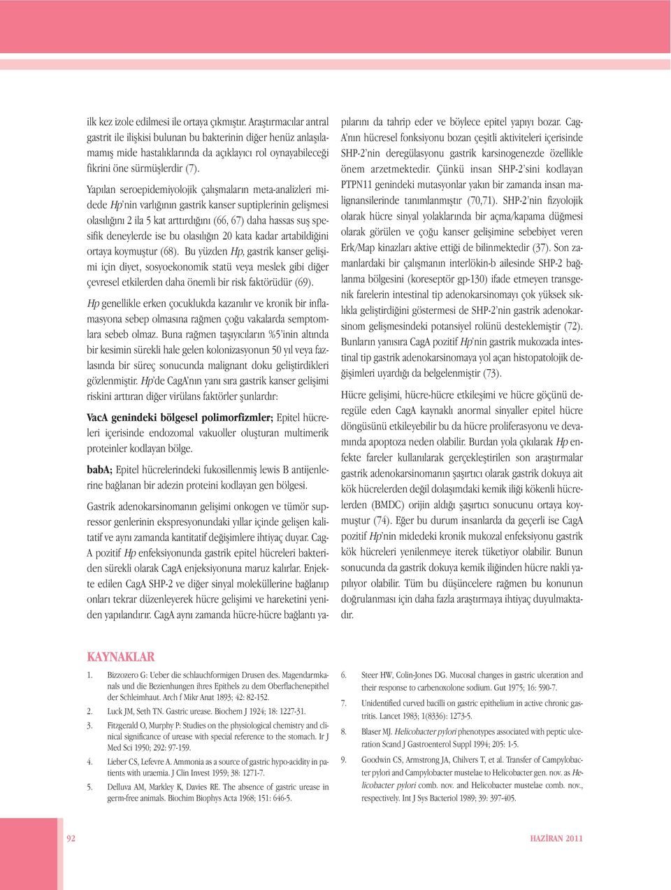 Yapılan seroepidemiyolojik çalışmaların meta-analizleri midede Hp nin varlığının gastrik kanser suptiplerinin gelişmesi olasılığını 2 ila 5 kat arttırdığını (66, 67) daha hassas suş spesifik