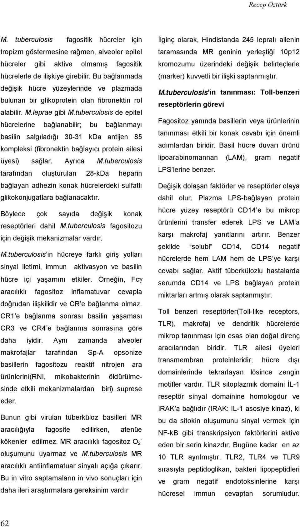 tuberculosis de epitel hücrelerine bağlanabilir; bu bağlanmayı basilin salgıladığı 30-31 kda antijen 85 kompleksi (fibronektin bağlayıcı protein ailesi üyesi) sağlar. Ayrıca M.