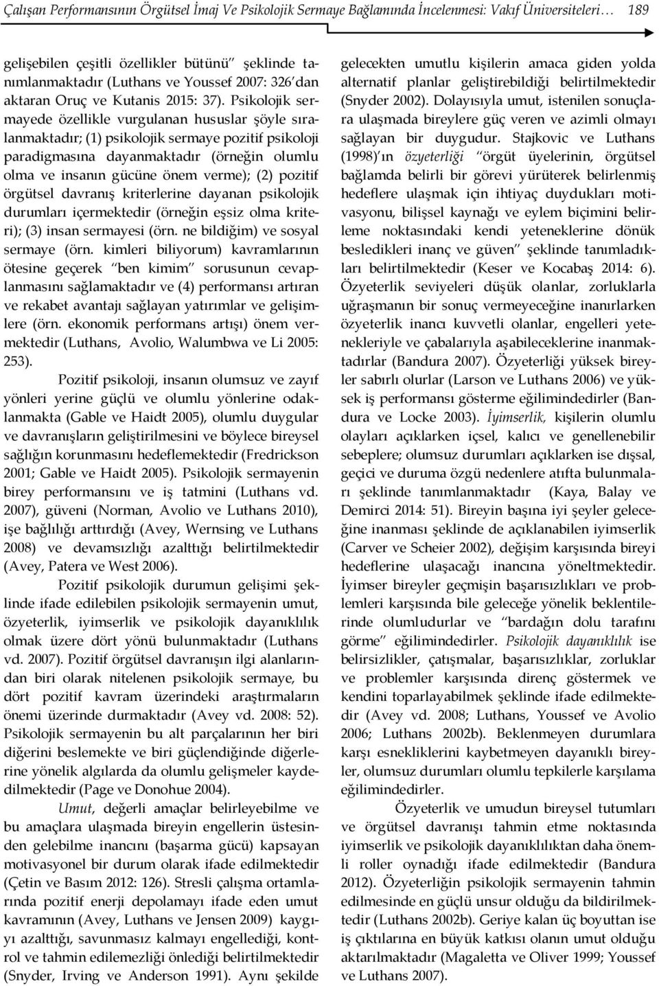 Psikolojik sermayede özellikle vurgulanan hususlar şöyle sıralanmaktadır; (1) psikolojik sermaye pozitif psikoloji paradigmasına dayanmaktadır (örneğin olumlu olma ve insanın gücüne önem verme); (2)