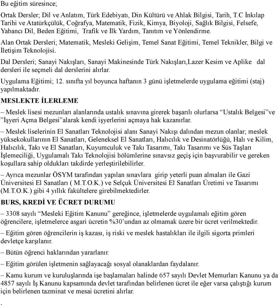 Alan Ortak Dersleri; Matematik, Mesleki Gelişim, Temel Sanat Eğitimi, Temel Teknikler, Bilgi ve İletişim Teknolojisi.