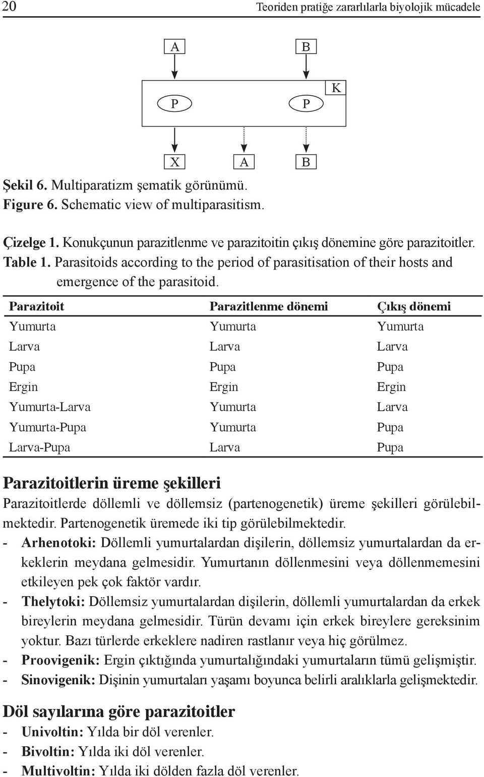 Parazitoit Parazitlenme dönemi Çıkış dönemi Yumurta Yumurta Yumurta Larva Larva Larva Pupa Pupa Pupa Ergin Ergin Ergin Yumurta-Larva Yumurta Larva Yumurta-Pupa Yumurta Pupa Larva-Pupa Larva Pupa