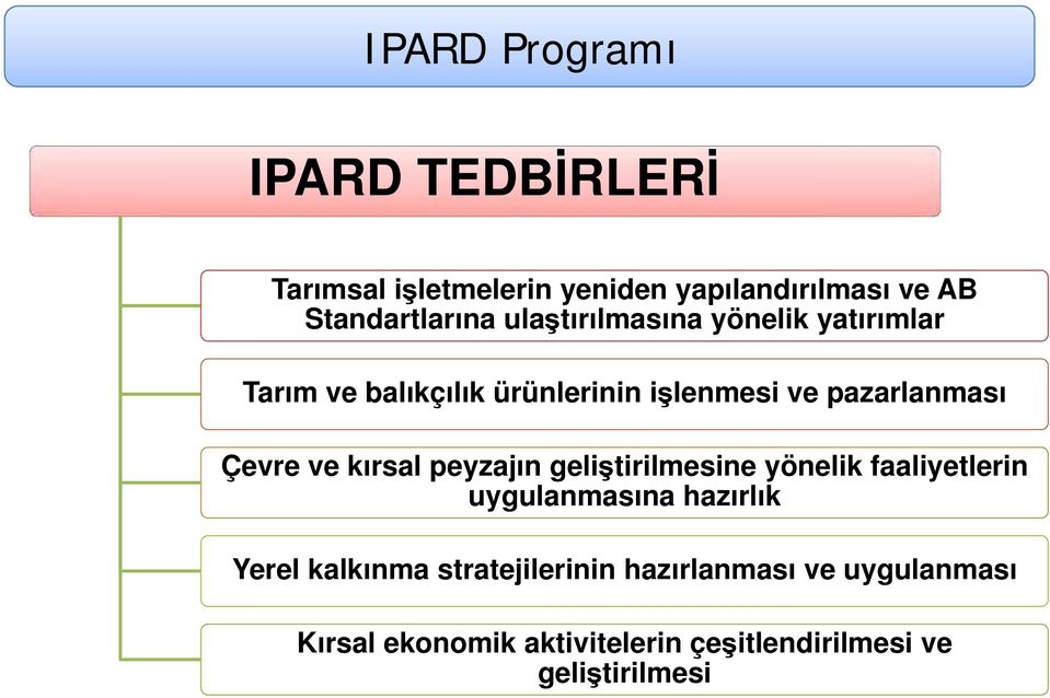 ve kırsal peyzajın geliştirilmesine yönelik faaliyetlerin uygulanmasına hazırlık Yerel kalkınma