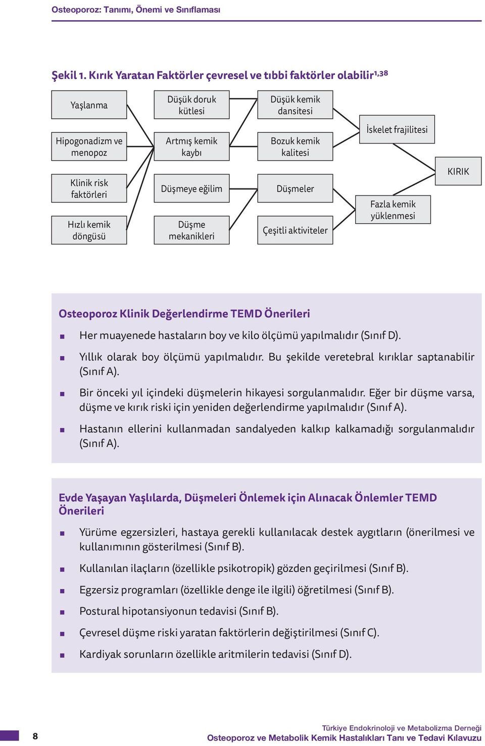 frajilitesi Klinik risk faktörleri Hızlı kemik döngüsü Düşmeye eğilim Düşme mekanikleri Düşmeler Çeşitli aktiviteler Fazla kemik yüklenmesi KIRIK Osteoporoz Klinik Değerlendirme TEMD Önerileri Her