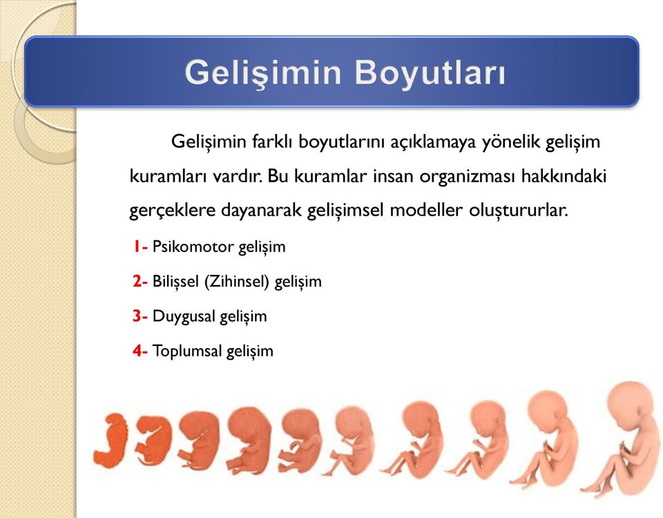 Bu kuramlar insan organizması hakkındaki gerçeklere dayanarak