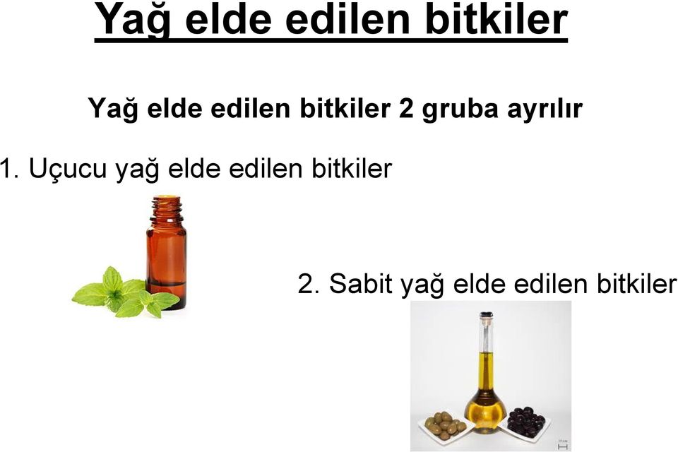 Uçucu yağ elde edilen bitkiler 2.