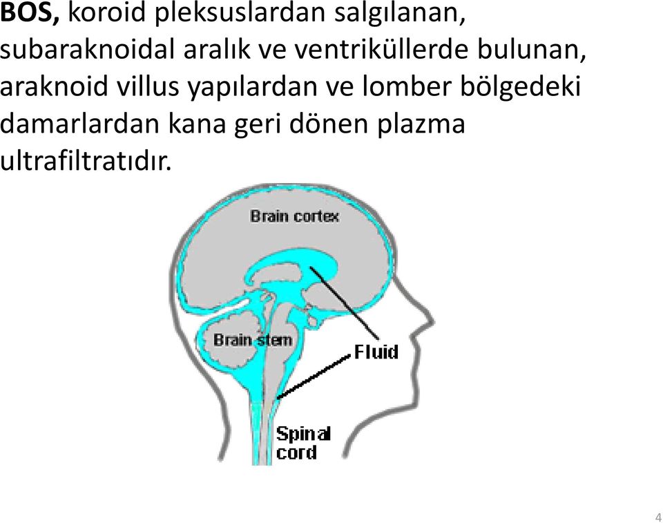 bulunan, araknoid villus yapılardan ve lomber