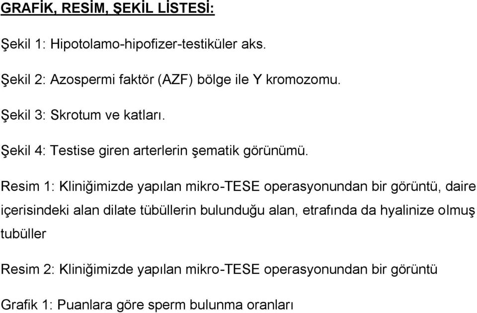 Şekil 4: Testise giren arterlerin şematik görünümü.