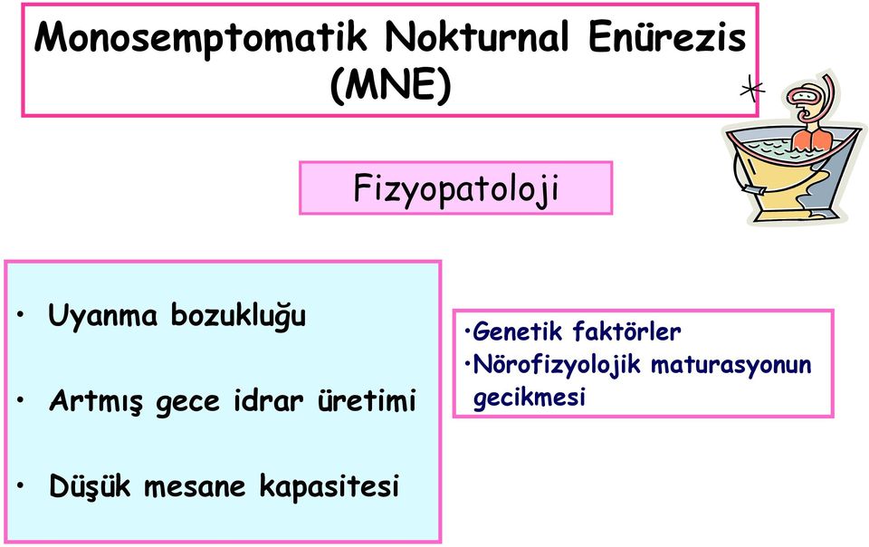 idrar üretimi Genetik faktörler