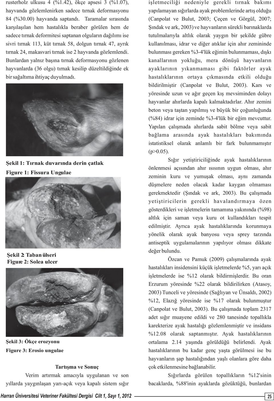 Taramalar sırasında (Canpolat ve Bulut, 2003; Çeçen ve Görgül, 2007; karşılaşılan hem hastalıkla beraber görülen hem de sadece tırnak deformitesi saptanan olguların dağılımı ise sivri tırnak 113, küt