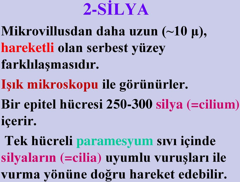 Bir epitel hücresi 250-300 silya (=cilium) içerir.