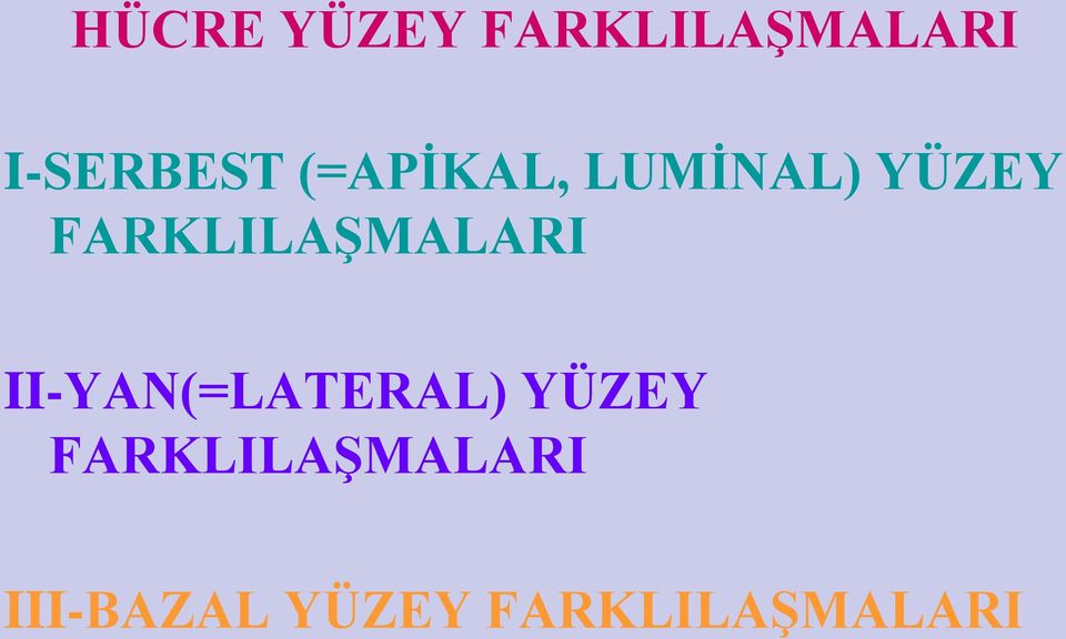 FARKLILAŞMALARI II-YAN(=LATERAL)