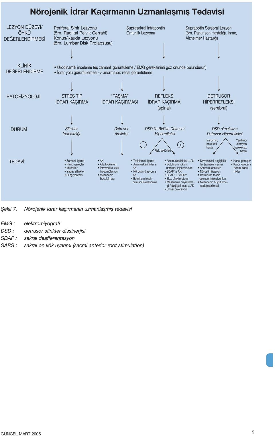 Parkinson Hastal, nme, Alzheimer Hastal ) Ürodinamik inceleme (efl zamanl görüntüleme / EMG gereksinimi göz önünde bulundurun) drar yolu görüntülemesi -> anormalse: renal görüntüleme PATOF ZYOLOJ