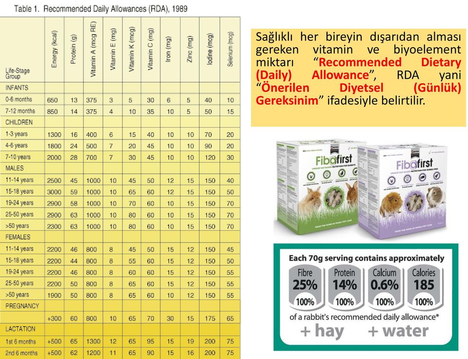 Dietary (Daily) Allowance, RDA yani Önerilen