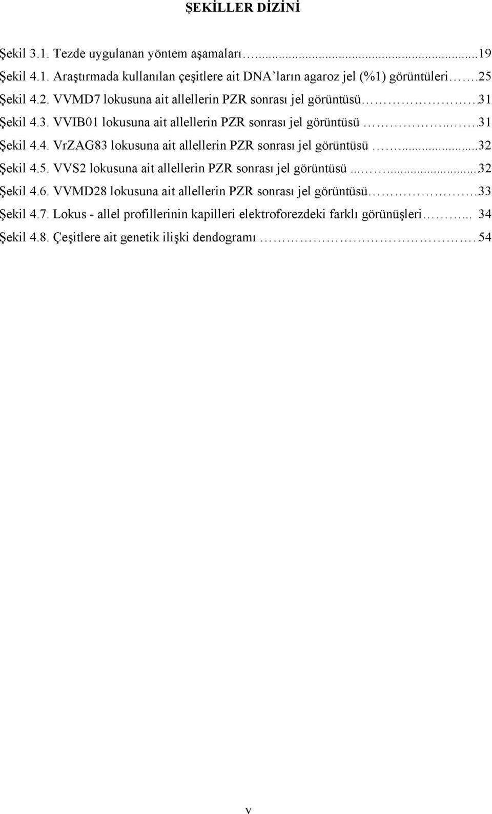 ..32 Şekil 4.5. VVS2 lokusuna ait allellerin PZR sonrası jel görüntüsü......32 Şekil 4.6. VVMD28 lokusuna ait allellerin PZR sonrası jel görüntüsü..33 Şekil 4.7.