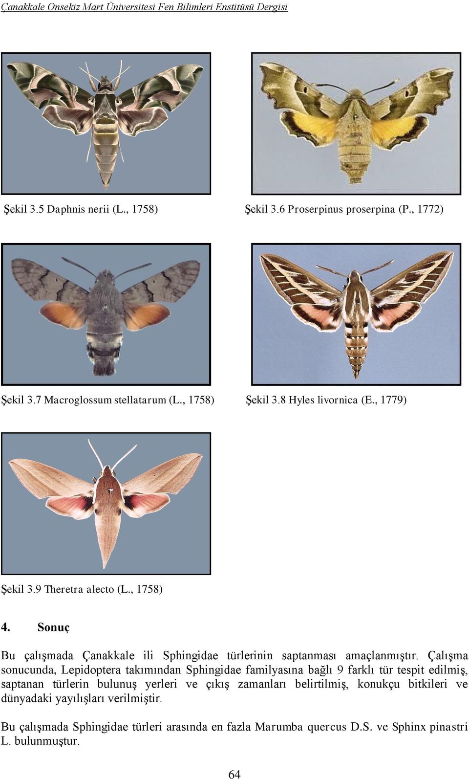 Sonuç Bu çalışmada Çanakkale ili Sphingidae türlerinin saptanması amaçlanmıştır.