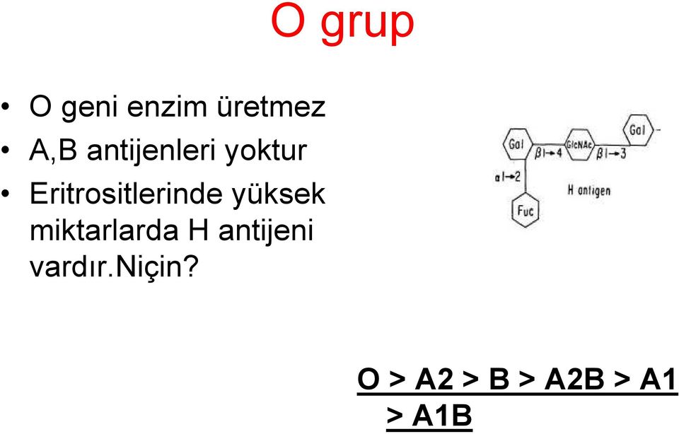 Eritrositlerinde yüksek