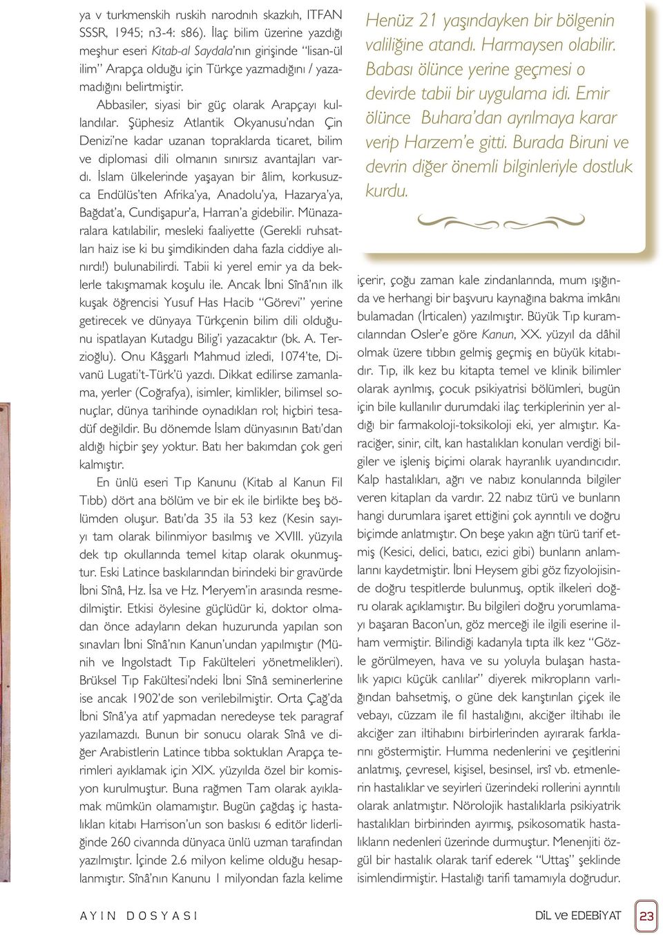 Abbasiler, siyasi bir güç olarak Arapçayı kullandılar. Şüphesiz Atlantik Okyanusu ndan Çin Denizi ne kadar uzanan topraklarda ticaret, bilim ve diplomasi dili olmanın sınırsız avantajları vardı.