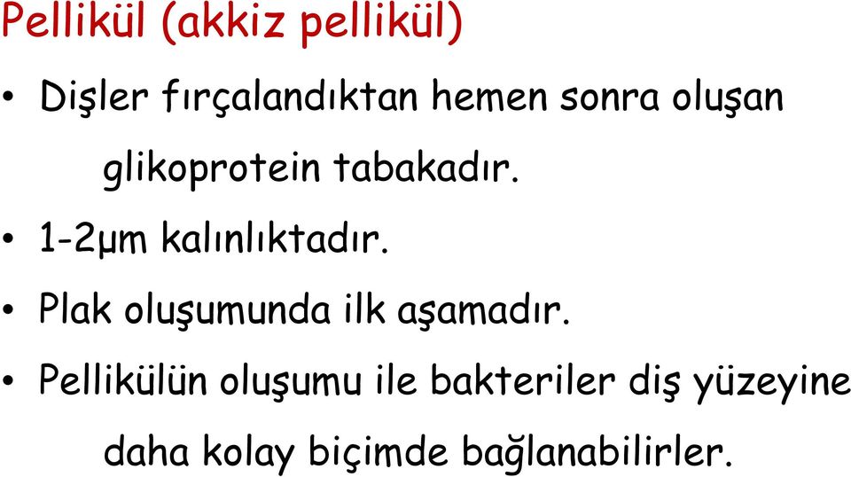 1-2μm kalınlıktadır. Plak oluşumunda ilk aşamadır.