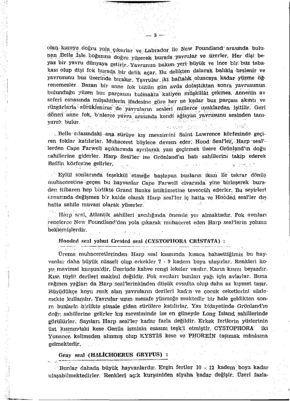 Yavrular, iki haftalık-oluncaya, kadar yüzme öğrenemezler. Bazan bir anne fok bütün gün avda dolaştıktan sonra yavrusunun bulunduğu yüzen buz parçasını bulmakta katiyen müşkülât çekmez.