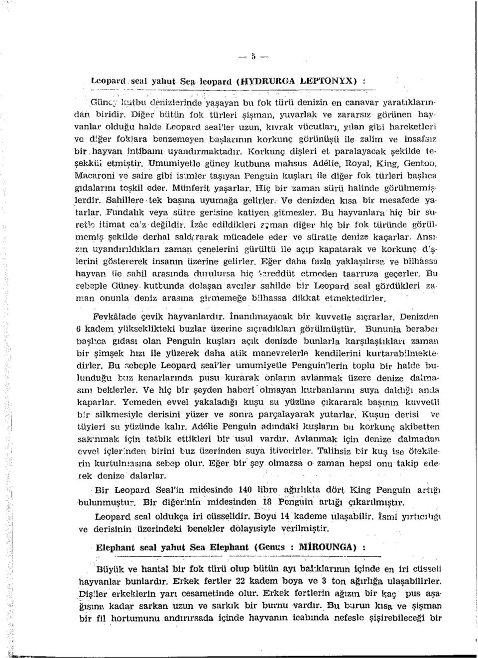 görünüşü Ue zalim ve insafsız bir hayvan intibaını uyandırmaktadır. Korkunç dişleri et paralayacak şekilde teşekkül etmiştir.