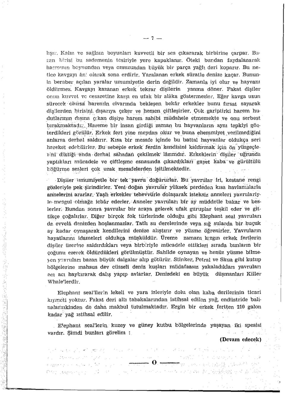 Bununla beraber açılan yaralar umumiyetle derin değildir. Zamanla iyi olur ve hayvanı öldürmez. Kavgayı kazanan erkek tekrar dişilerin yanına döner.