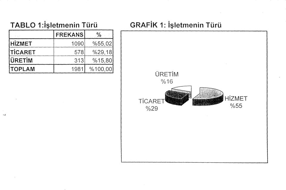 0 /o15,80 TOPLAM 1981 0 /o100,00 GRAFiK 1: