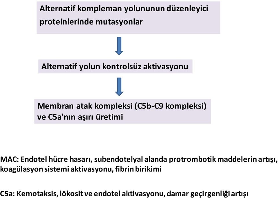 Endotel hücre hasarı, subendotelyal alanda protrombotik maddelerin artışı, koagülasyon sistemi