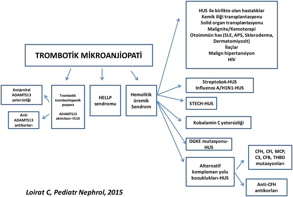 sendromu Hemolitik üremik Sendrom Streptokok-HUS Influenza A/H1N1-HUS STECH-HUS Anti ADAMTS13 antikorları ADAMTS13 aktivitesi <%10 Kobalamin C