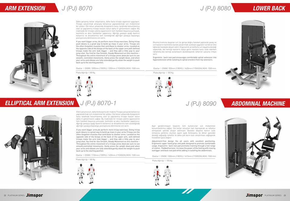 Üst kolun arkasında bicepslerin karşı tarafında konumlanmış olan iyi yapılanmış triceps kasları kolun daha iri görünmesini sağlar.