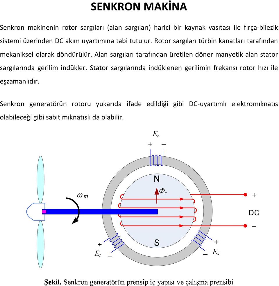 Alan sargıları tarafından üretilen döner manyetik alan stator sargılarında gerilim indükler.