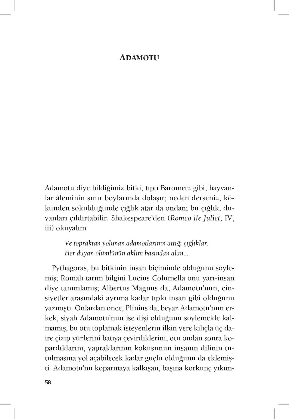 .. Pythagoras, bu bitkinin insan biçiminde olduğunu söylemiş; Romalı tarım bilgini Lucius Columella onu yarı-insan diye tanımlamış; Albertus Magnus da, Adamotu nun, cinsiyetler arasındaki ayrıma