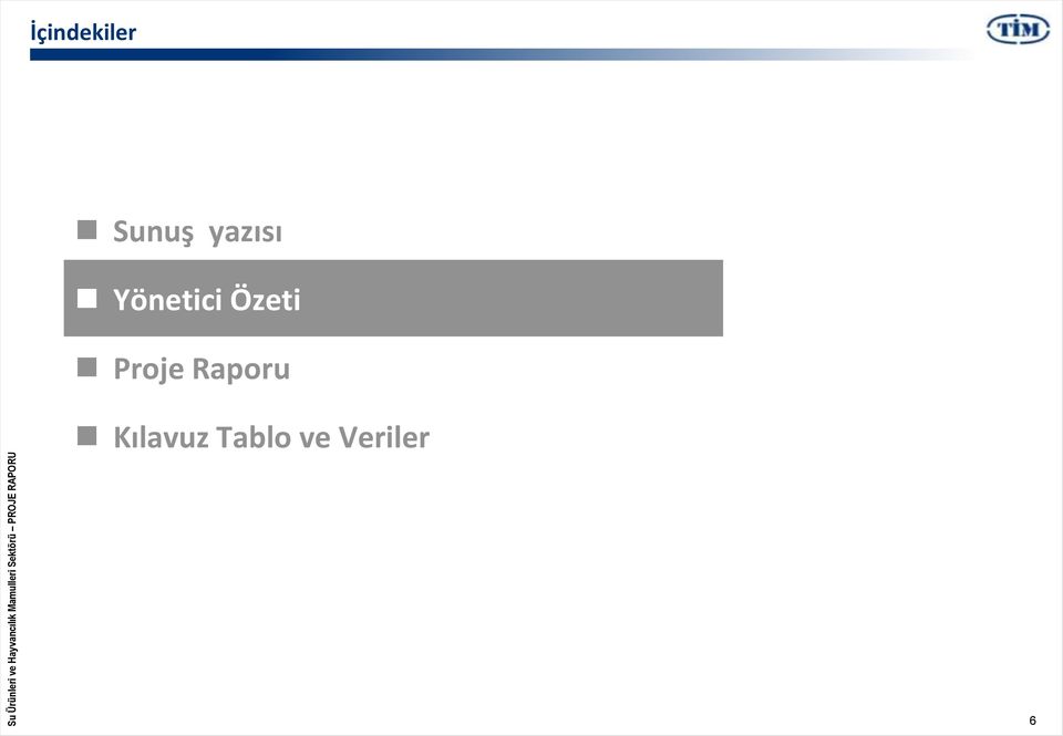 Özeti Proje Raporu