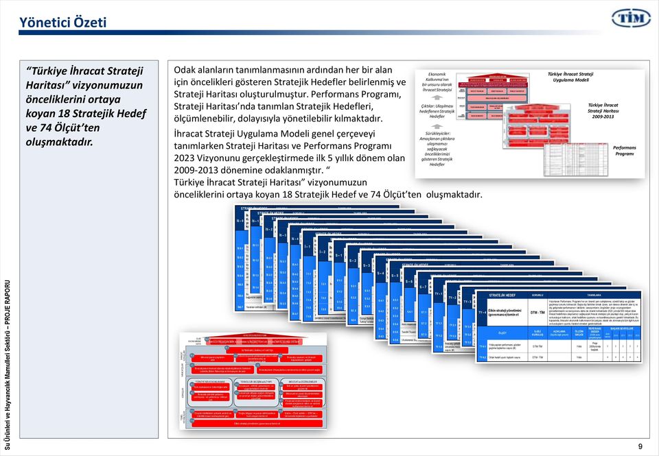 oluşturulmuştur. Performans Programı, Çıktılar: Ulaşılması Strateji Haritası nda tanımlan Stratejik Hedefleri, hedeflenen Stratejik Hedefler ölçümlenebilir, dolayısıyla yönetilebilir kılmaktadır.