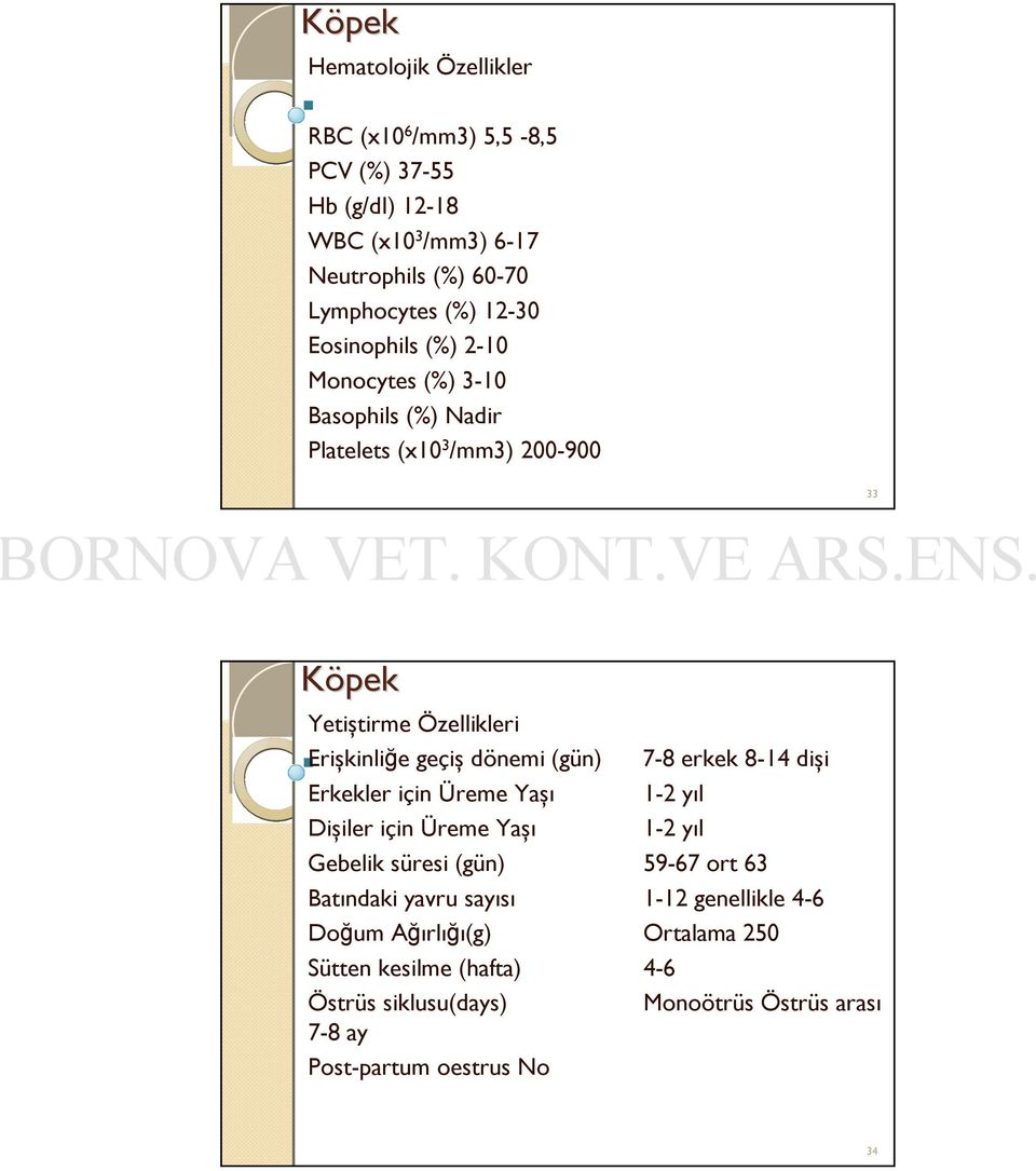 (gün) Erkekler için Üreme Yaşı Dişiler için Üreme Yaşı Gebelik süresi (gün) Batındaki yavru sayısı Doğum Ağırlığı(g) Sütten kesilme (hafta) Östrüs