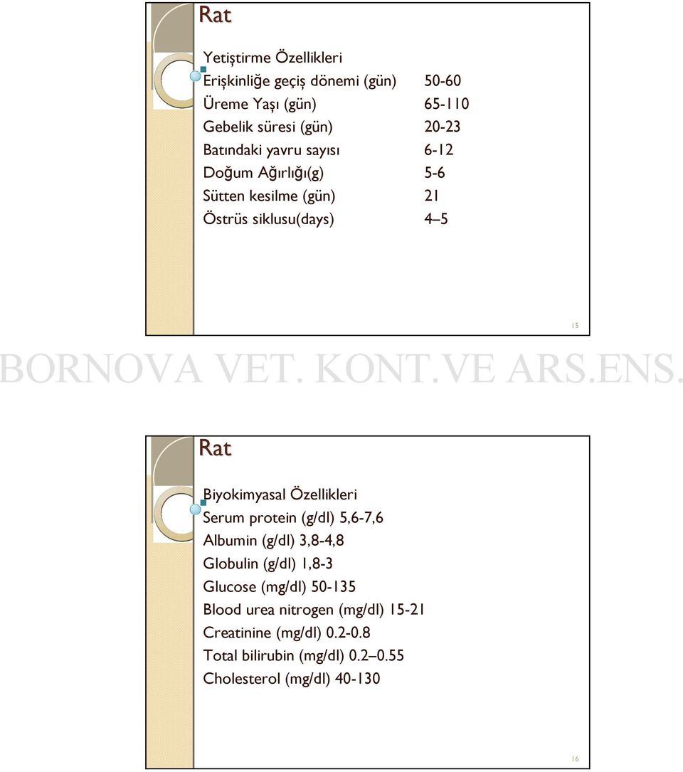 Biyokimyasal Özellikleri Serum protein (g/dl) 5,6-7,6 Albumin (g/dl) 3,8-4,8 Globulin (g/dl) 1,8-3 Glucose (mg/dl)