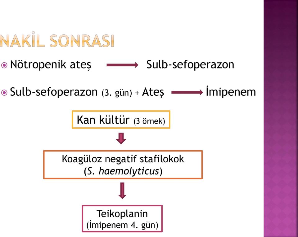 gün) + Ateş İmipenem Kan kültür (3 örnek)