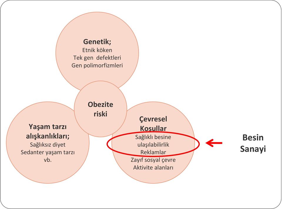 tarzı vb.