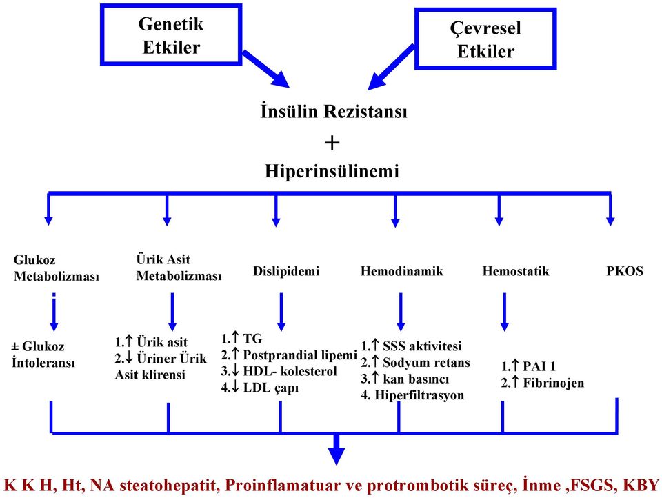 Üriner Ürik Asit klirensi 1. TG 1. SSS aktivitesi 2. Postprandial lipemi 2. Sodyum retans 3. HDL- kolesterol 3.