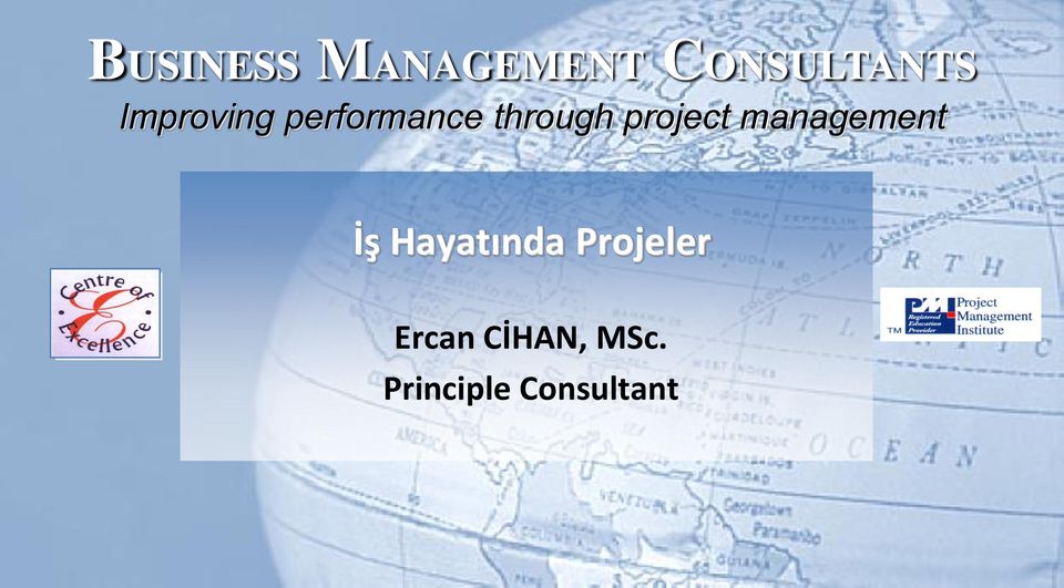 project management İş Hayatında