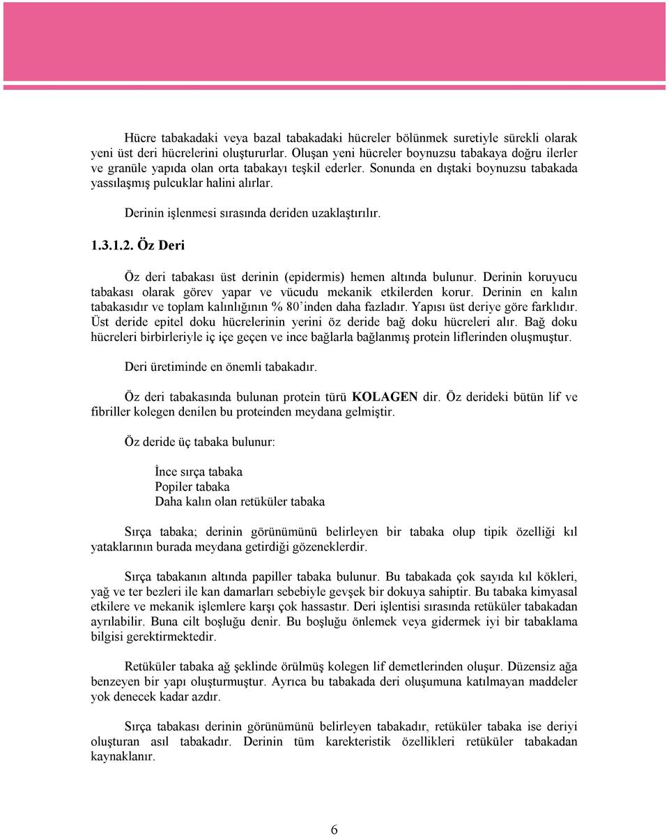 Derinin işlenmesi sırasında deriden uzaklaştırılır. 1.3.1.2. Öz Deri Öz deri tabakası üst derinin (epidermis) hemen altında bulunur.