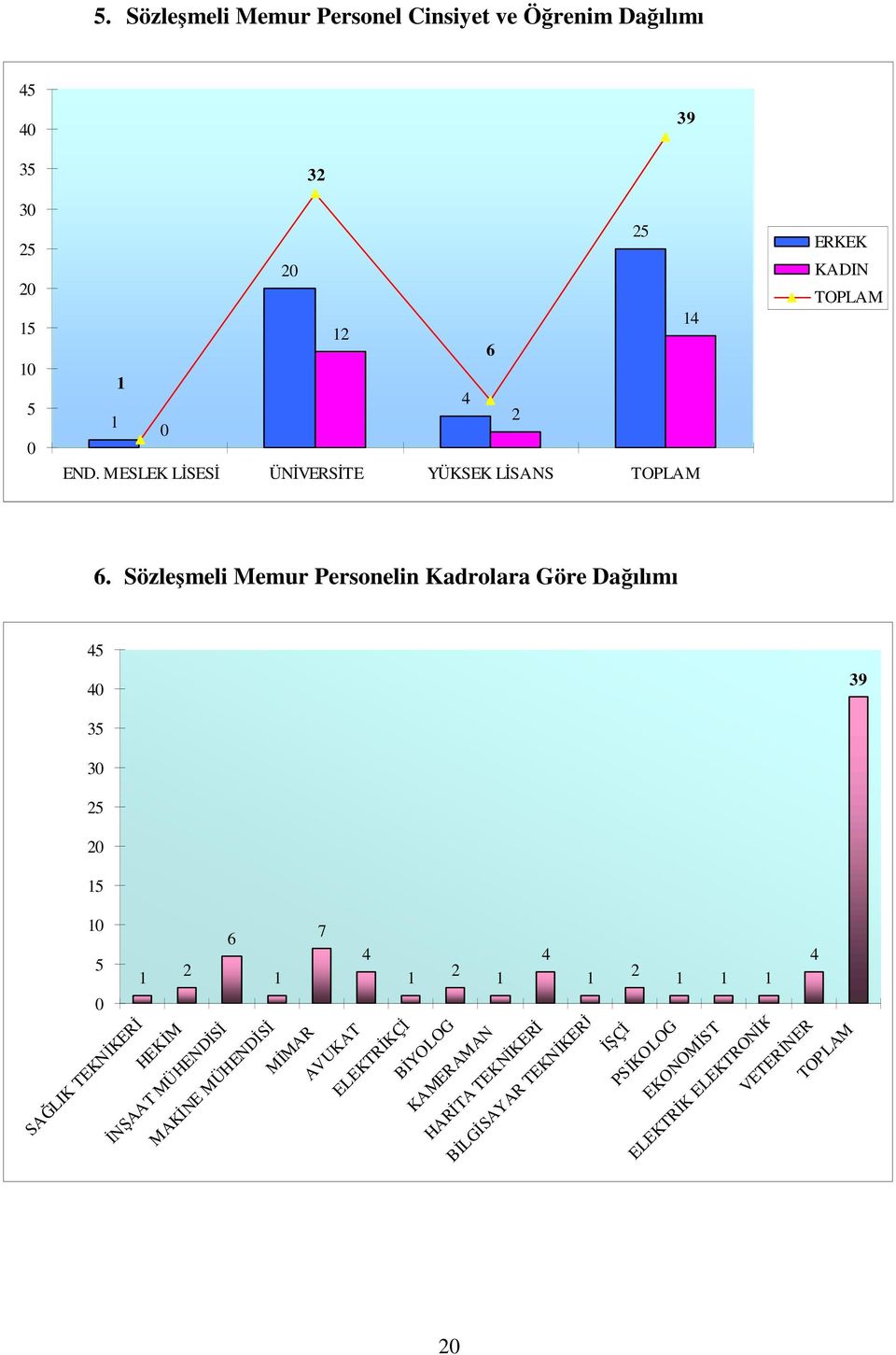 Sözleşmeli Memur Personelin Kadrolara Göre Dağılımı 45 40 35 30 25 20 5 39 0 6 5 2 0 SAĞLIK TEKNİKERİ HEKİM İNŞAAT